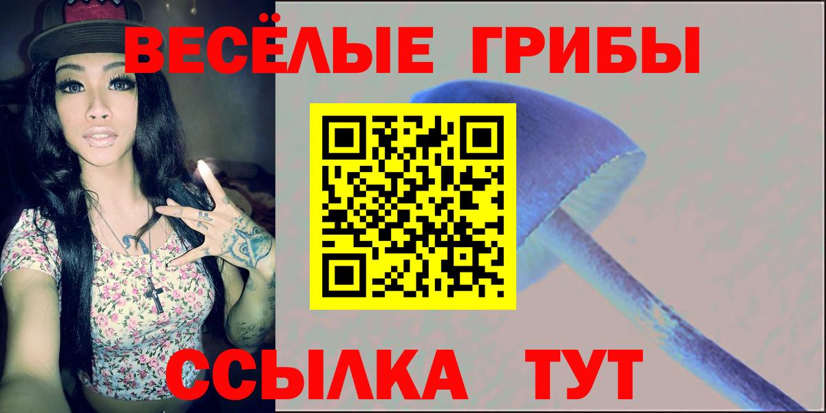 Галлюциногенные грибы Psilocybe Жуковский