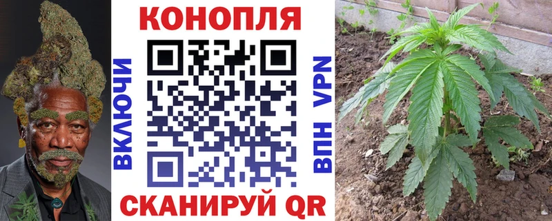 shop какой сайт  Жуковский  Конопля LSD WEED 